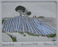 Francescas Fields