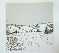 Winter Tree Farm