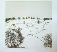 Winterscape